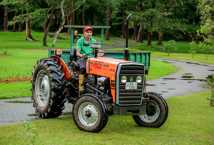 service single images