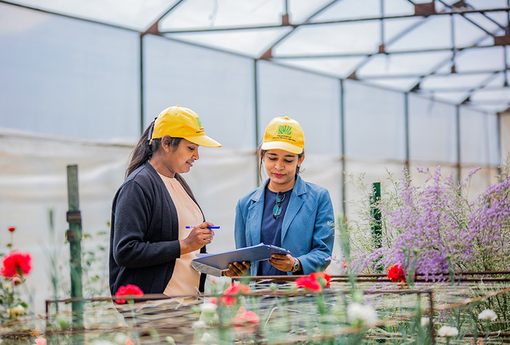 service single images