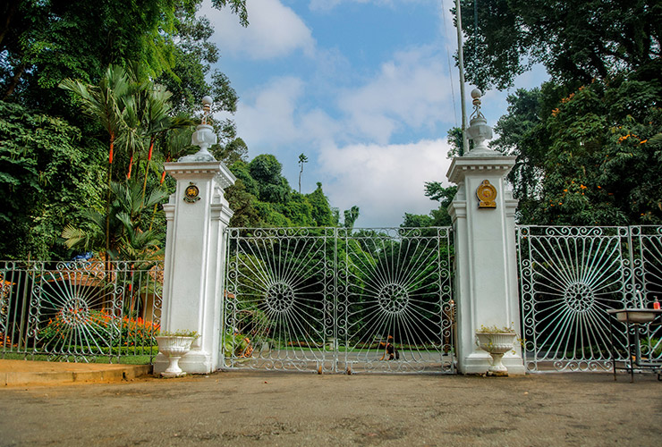 service single images