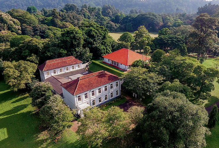 service single images