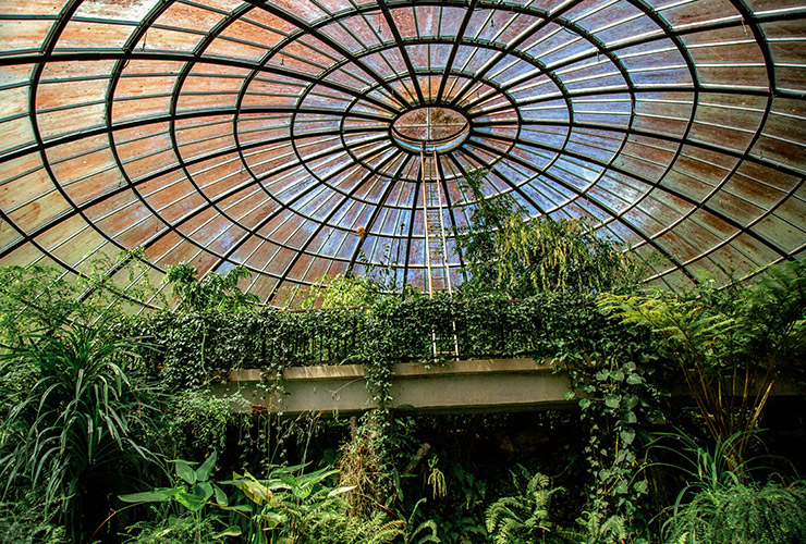 service single images