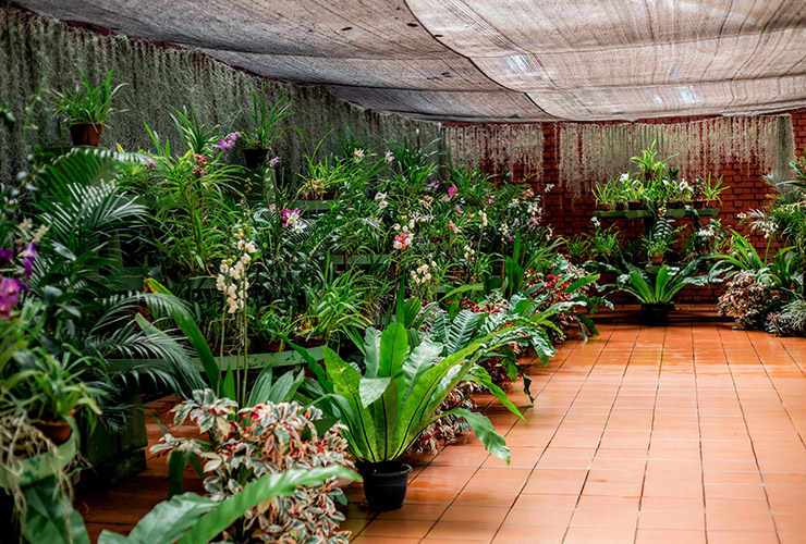 service single images