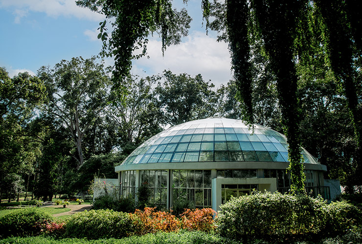 service single images